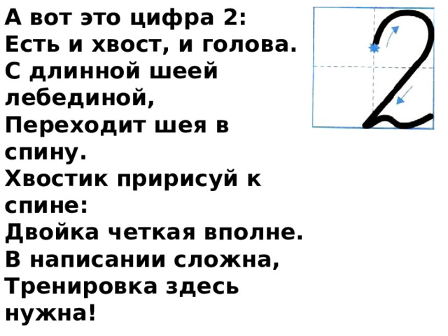 А вот это цифра 2: Есть и хвост, и голова. С длинной шеей лебединой, Переходит шея в спину. Хвостик пририсуй к спине: Двойка четкая вполне. В написании сложна, Тренировка здесь нужна! 