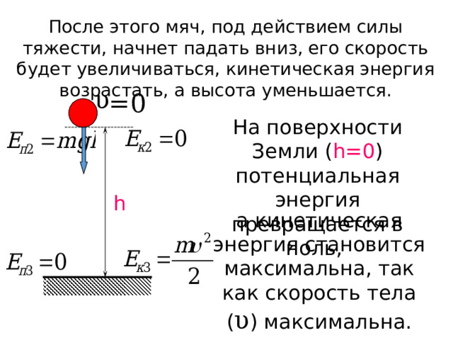 После этого мяч, под действием силы тяжести, начнет падать вниз, его скорость будет увеличиваться, кинетическая энергия возрастать, а высота уменьшается. υ =0 На поверхности Земли ( h =0 ) потенциальная энергия превращается в ноль,  h а кинетическая энергия становится максимальна, так как скорость тела ( υ ) максимальна. 