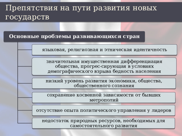 Препятствия на пути развития новых государств Основные проблемы развивающихся стран языковая, религиозная и этническая идентичность значительная имущественная дифференциация общества, прогрес-сирующая в условиях демографического взрыва бедность населения низкий уровень развития экономики, общества, общественного сознания сохранение косвенной зависимости от бывших метрополий отсутствие опыта политического управления у лидеров недостаток природных ресурсов, необходимых для самостоятельного развития 