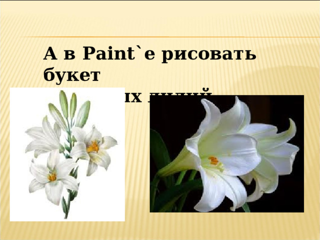 А в Paint `е рисовать букет Из белых лилий можно? 