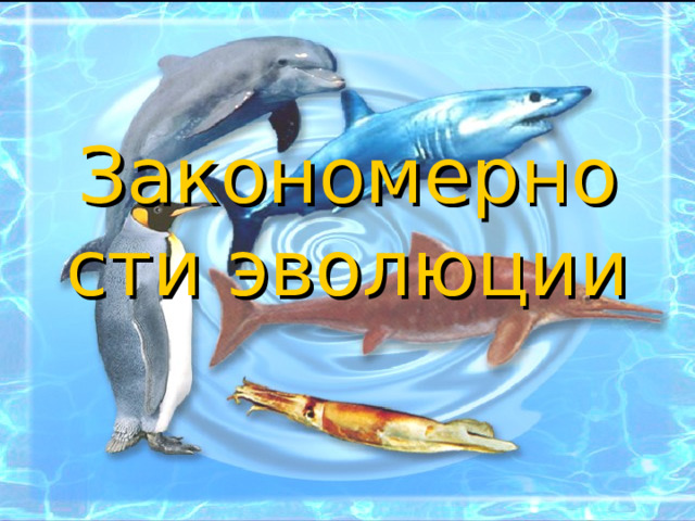 Закономерности эволюции 