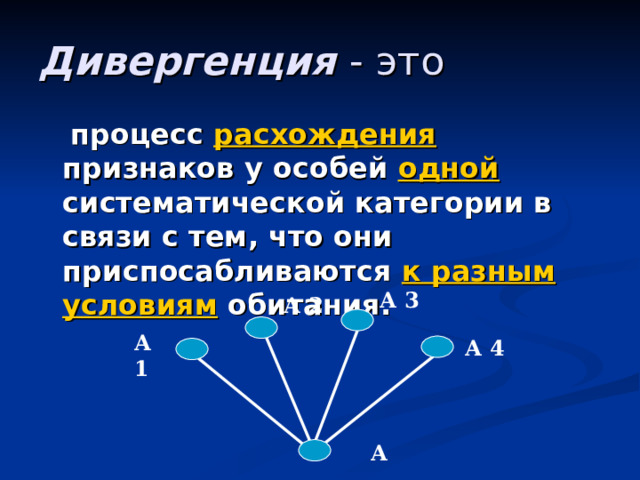 Дивергенция - это  процесс расхождения признаков у особей одной систематической категории в связи с тем, что они приспосабливаются к разным условиям обитания. А 3 А 2 А 1 А 4  А 