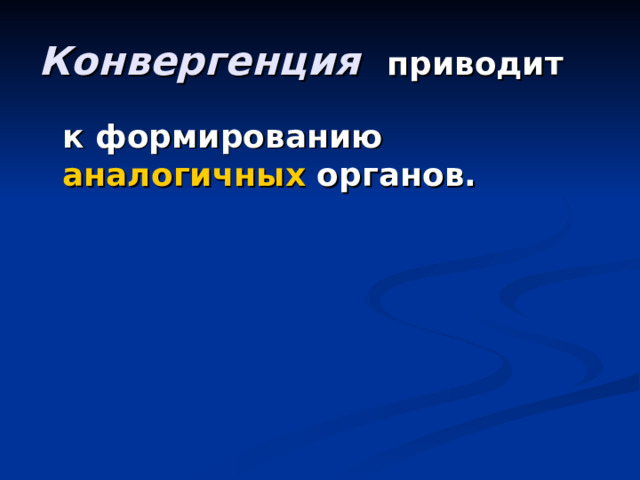 Конвергенция  приводит   к формированию аналогичных органов. 