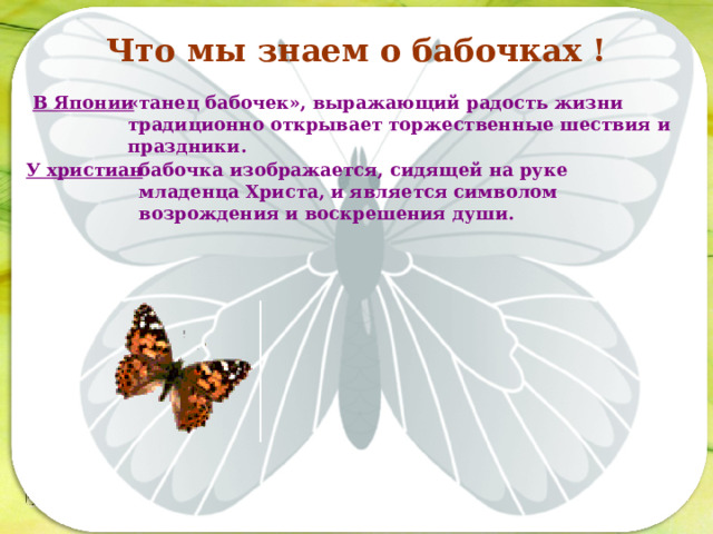 Что мы знаем о бабочках ! В Японии «танец бабочек», выражающий радость жизни традиционно открывает торжественные шествия и праздники. У христиан бабочка изображается, сидящей на руке младенца Христа, и является символом возрождения и воскрешения души. Последовательность работы:  