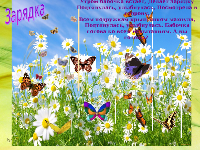 Утром бабочка встает, Делает зарядку Подтянулась, улыбнулась, Посмотрела в сторону, Всем подружкам крылышком махнула, Подтянулась, улыбнулась. Бабочка готова ко всем испытаниям. А вы готовы? 