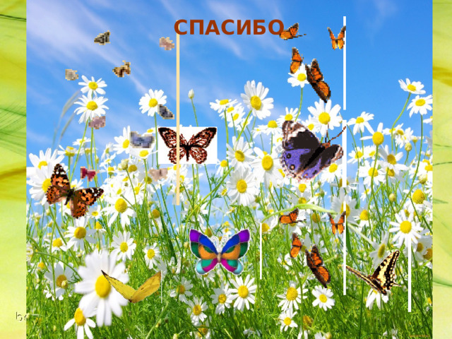   СПАСИБО 