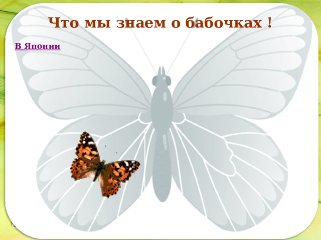 Что мы знаем о бабочках ! В Японии Последовательность работы:  