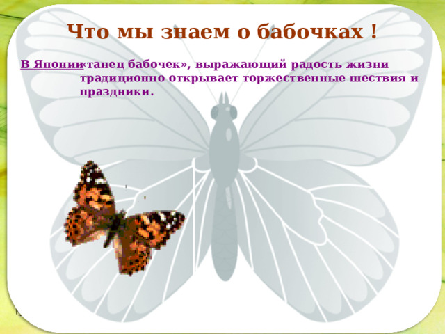 Что мы знаем о бабочках ! В Японии «танец бабочек», выражающий радость жизни традиционно открывает торжественные шествия и праздники. Последовательность работы:  