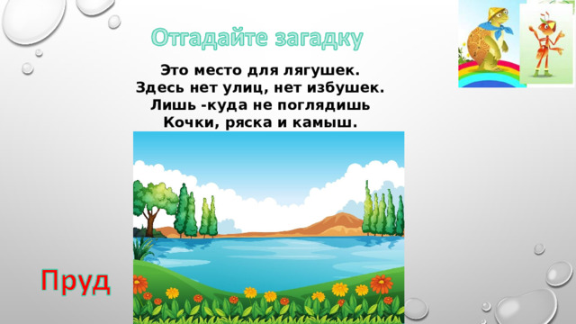 Это место для лягушек. Здесь нет улиц, нет избушек. Лишь -куда не поглядишь Кочки, ряска и камыш. 