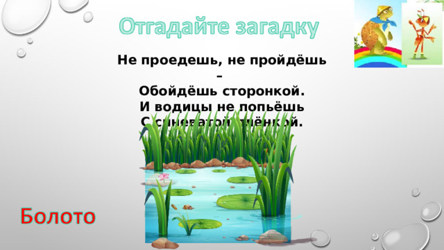 Не проедешь, не пройдёшь – Обойдёшь сторонкой. И водицы не попьёшь С синеватой плёнкой. 