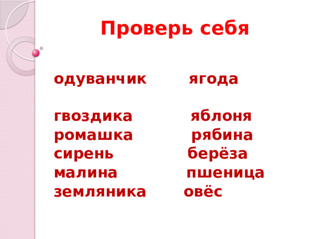 Проверь себя  одуванчик ягода гвоздика яблоня ромашка рябина сирень берёза малина пшеница земляника овёс 