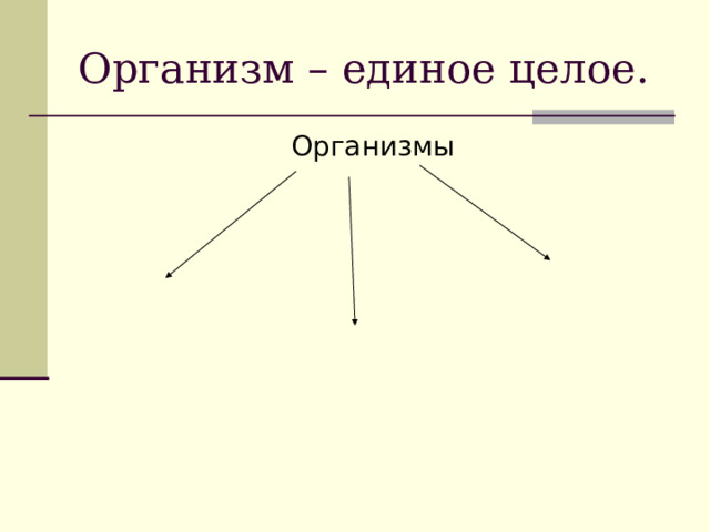 Организм – единое целое. Организмы 