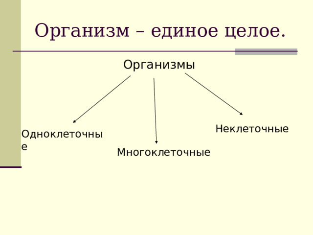 Организм – единое целое. Организмы Неклеточные Одноклеточные Многоклеточные 