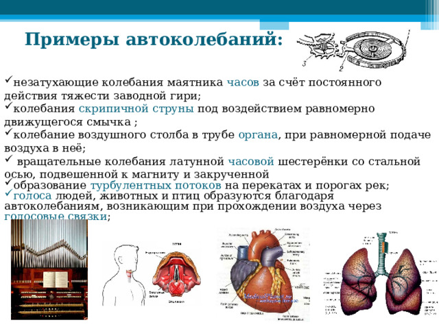 Примеры автоколебаний: незатухающие колебания маятника часов за счёт постоянного действия тяжести заводной гири; колебания скрипичной струны под воздействием равномерно движущегося смычка ; колебание воздушного столба в трубе органа , при равномерной подаче воздуха в неё;  вращательные колебания латунной часовой шестерёнки со стальной осью, подвешенной к магниту и закрученной образование турбулентных потоков на перекатах и порогах рек; голоса людей, животных и птиц образуются благодаря автоколебаниям, возникающим при прохождении воздуха через голосовые связки ; 