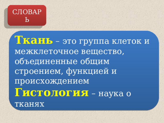 СЛОВАРЬ Ткань – это группа клеток и межклеточное вещество, объединенные общим строением, функцией и происхождением Гистология  – наука о тканях 