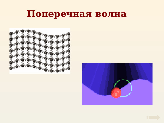 Поперечная волна 