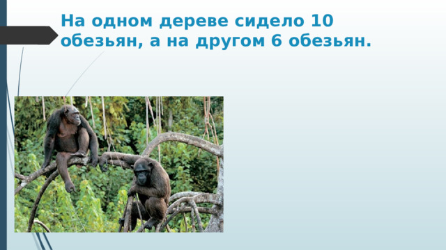 На одном дереве сидело 10 обезьян, а на другом 6 обезьян. 