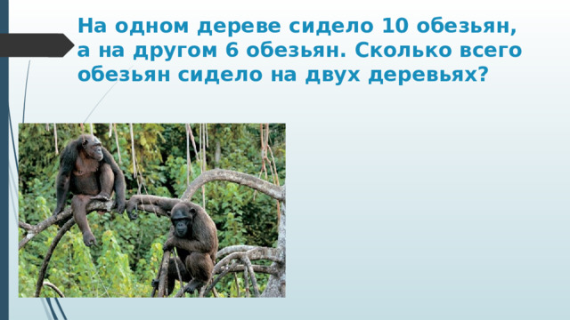 На одном дереве сидело 10 обезьян, а на другом 6 обезьян. Сколько всего обезьян сидело на двух деревьях? 