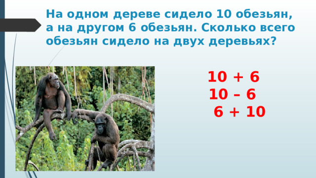 На одном дереве сидело 10 обезьян, а на другом 6 обезьян. Сколько всего обезьян сидело на двух деревьях?  10 + 6  10 – 6  6 + 10 