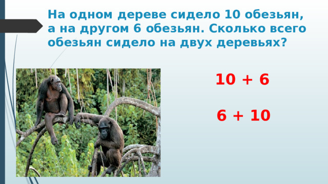 На одном дереве сидело 10 обезьян, а на другом 6 обезьян. Сколько всего обезьян сидело на двух деревьях?  10 + 6    6 + 10 