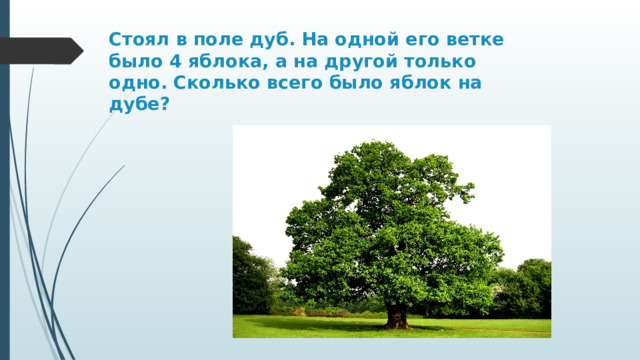 Стоял в поле дуб. На одной его ветке было 4 яблока, а на другой только одно. Сколько всего было яблок на дубе?   