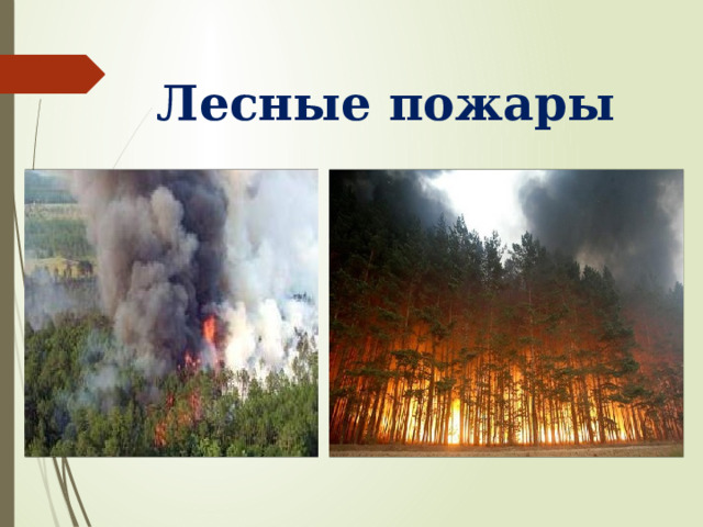  Лесные пожары 