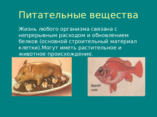 Питательные вещества Жизнь любого организма связана с непрерывным расходом и обновлением белков (основной строительный материал клетки).Могут иметь растительное и животное происхождение. 