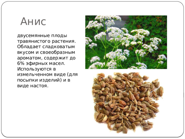 Анис двусемянные плоды травянистого растения. Обладает сладковатым вкусом и своеобразным ароматом, содержит до 6% эфирных масел. Используются в измельченном виде (для посыпки изделий) и в виде настоя. 