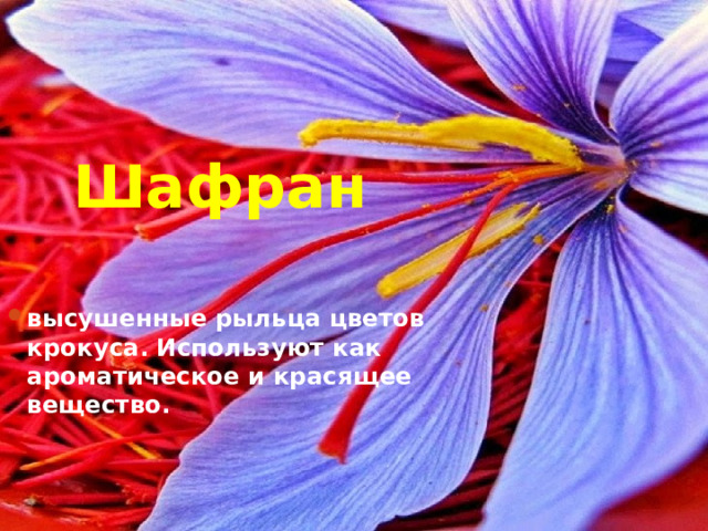  Шафран высушенные рыльца цветов крокуса. Используют как ароматическое и красящее вещество. 