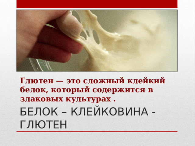 Глютен — это сложный клейкий белок, который содержится в злаковых культурах . БЕЛОК – КЛЕЙКОВИНА - ГЛЮТЕН 