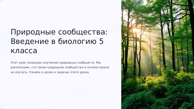  Природные сообщества: Введение в биологию 5 класса Этот урок посвящен изучению природных сообществ. Мы рассмотрим, что такое природное сообщество и почему важно их изучать. Узнаем о целях и задачах этого урока. 