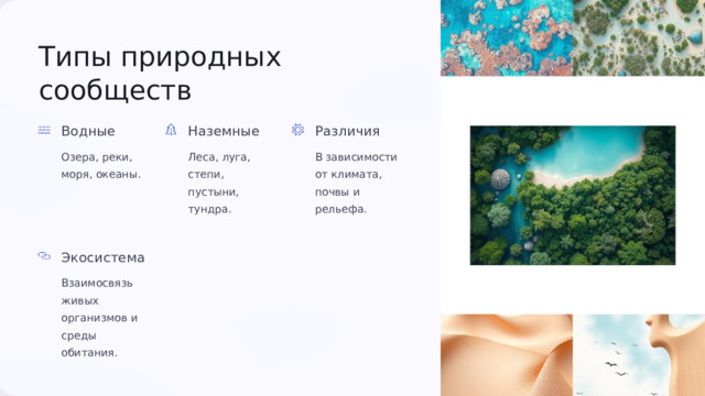  Типы природных сообществ Водные Наземные Различия Озера, реки, моря, океаны. Леса, луга, степи, пустыни, тундра. В зависимости от климата, почвы и рельефа. Экосистема Взаимосвязь живых организмов и среды обитания. 