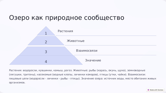  Озеро как природное сообщество Растения 1 2 Животные 3 Взаимосвязи 4 Значение Растения: водоросли, кувшинки, камыш, рогоз. Животные: рыбы (карась, окунь, щука), земноводные (лягушки, тритоны), насекомые (водные клопы, личинки комаров), птицы (утки, чайки). Взаимосвязи: пищевые цепи (водоросли - личинки - рыбы - птицы). Значение озера: источник воды, место обитания живых организмов. 