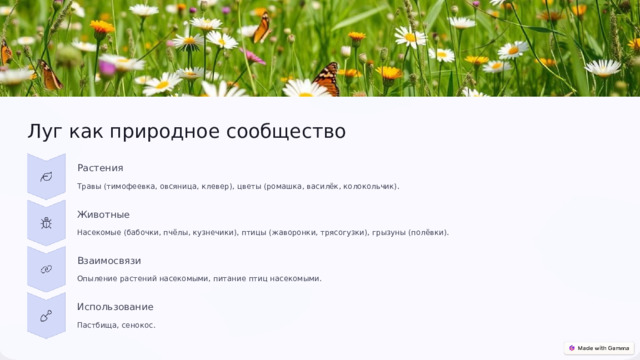  Луг как природное сообщество Растения Травы (тимофеевка, овсяница, клевер), цветы (ромашка, василёк, колокольчик). Животные Насекомые (бабочки, пчёлы, кузнечики), птицы (жаворонки, трясогузки), грызуны (полёвки). Взаимосвязи Опыление растений насекомыми, питание птиц насекомыми. Использование Пастбища, сенокос. 