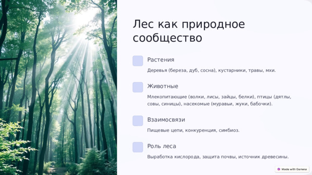 7 Лес как природное сообщество Растения Деревья (береза, дуб, сосна), кустарники, травы, мхи. Животные Млекопитающие (волки, лисы, зайцы, белки), птицы (дятлы, совы, синицы), насекомые (муравьи, жуки, бабочки). Взаимосвязи Пищевые цепи, конкуренция, симбиоз. Роль леса Выработка кислорода, защита почвы, источник древесины. 