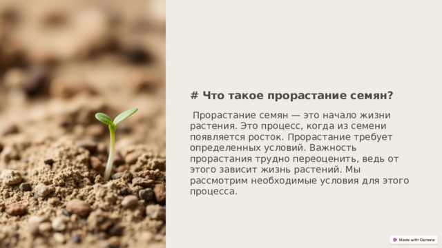  # Что такое прорастание семян?  Прорастание семян — это начало жизни растения. Это процесс, когда из семени появляется росток. Прорастание требует определенных условий. Важность прорастания трудно переоценить, ведь от этого зависит жизнь растений. Мы рассмотрим необходимые условия для этого процесса. 
