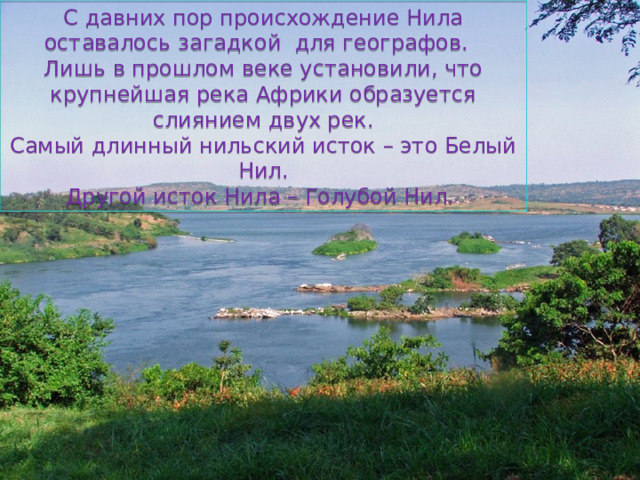С давних пор происхождение Нила оставалось загадкой для географов. Лишь в прошлом веке установили, что крупнейшая река Африки образуется слиянием двух рек. Самый длинный нильский исток – это Белый Нил. Другой исток Нила – Голубой Нил. 