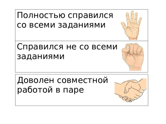 Полностью справился со всеми заданиями Справился не со всеми заданиями Доволен совместной работой в паре 