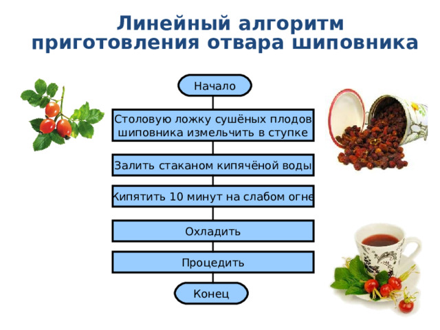 Линейный алгоритм  приготовления отвара шиповника Начало Столовую ложку сушёных плодов шиповника измельчить в ступке Залить стаканом кипячёной воды Кипятить 10 минут на слабом огне Охладить Процедить Конец 