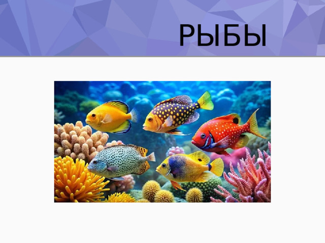  РЫБЫ 
