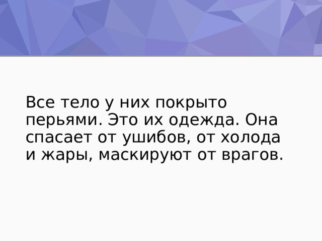 Все тело у них покрыто перьями. Это их одежда. Она спасает от ушибов, от холода и жары, маскируют от врагов. 