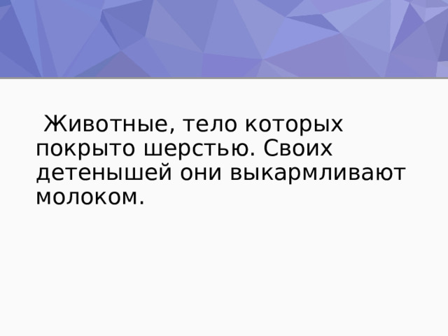  Животные, тело которых покрыто шерстью. Своих детенышей они выкармливают молоком. 