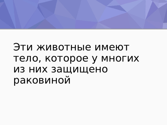 Эти животные имеют тело, которое у многих из них защищено раковиной 