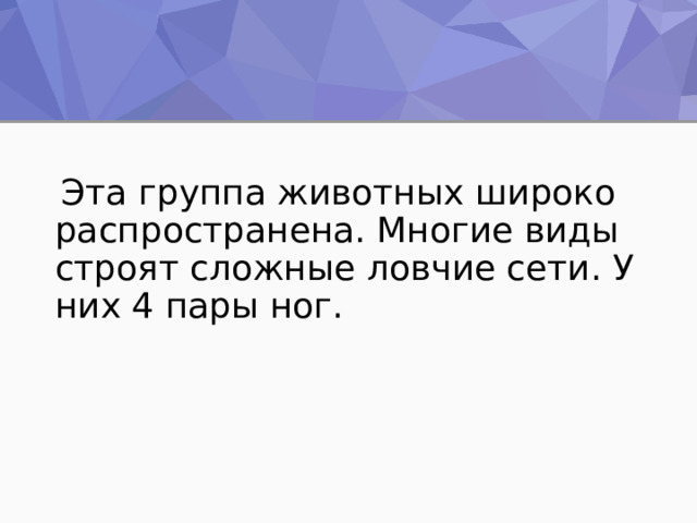  Эта группа животных широко распространена. Многие виды строят сложные ловчие сети. У них 4 пары ног. 