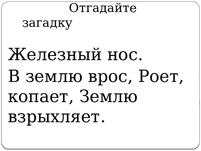   Отгадайте загадку Железный нос. В землю врос, Роет, копает, Землю взрыхляет. 