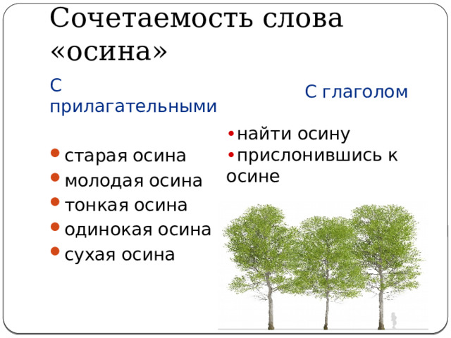 Сочетаемость слова «осина»  С глаголом • найти осину • прислонившись к осине С прилагательными старая осина молодая осина тонкая осина одинокая осина сухая осина 