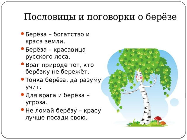 Пословицы и поговорки о берёзе Берёза – богатство и краса земли. Берёза – красавица русского леса. Враг природе тот, кто берёзку не бережёт. Тонка берёза, да разуму учит. Для врага и берёза – угроза. Не ломай берёзу – красу, лучше посади свою. 