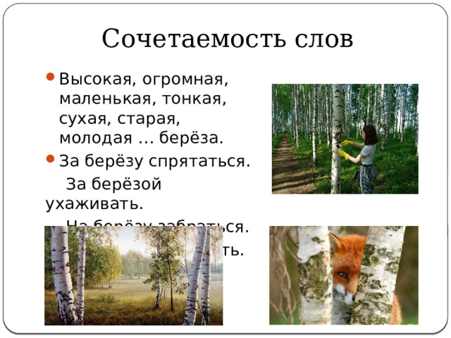 Сочетаемость слов Высокая, огромная, маленькая, тонкая, сухая, старая, молодая … берёза. За берёзу спрятаться.  За берёзой ухаживать.  На берёзу забраться.  Под берёзой сидеть. 