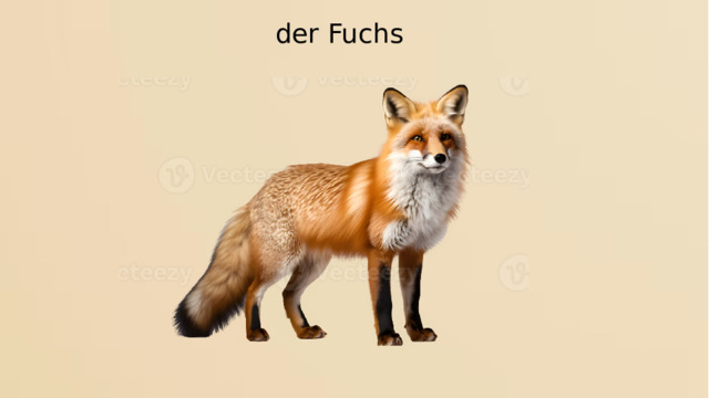  der Fuchs 