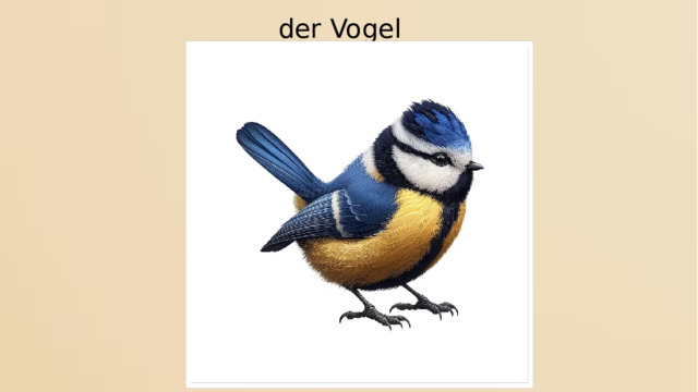 der Vogel 